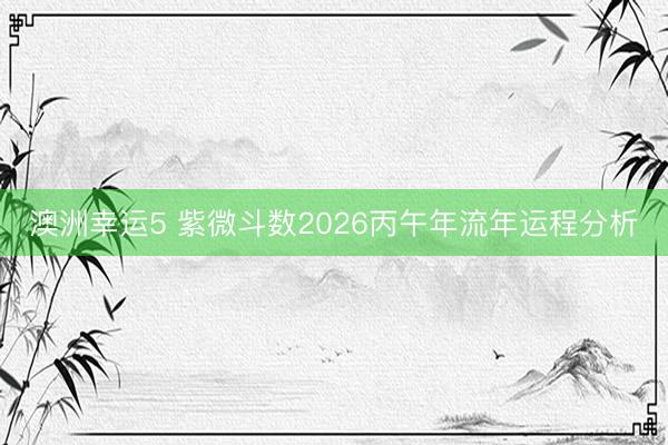 澳洲幸运5 紫微斗数2026丙午年流年运程分析
