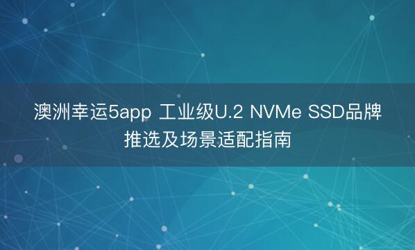 澳洲幸运5app 工业级U.2 NVMe SSD品牌推选及场景适配指南