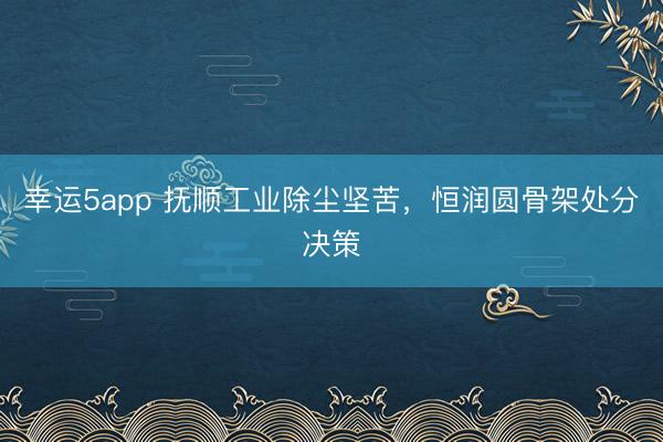 幸运5app 抚顺工业除尘坚苦，恒润圆骨架处分决策