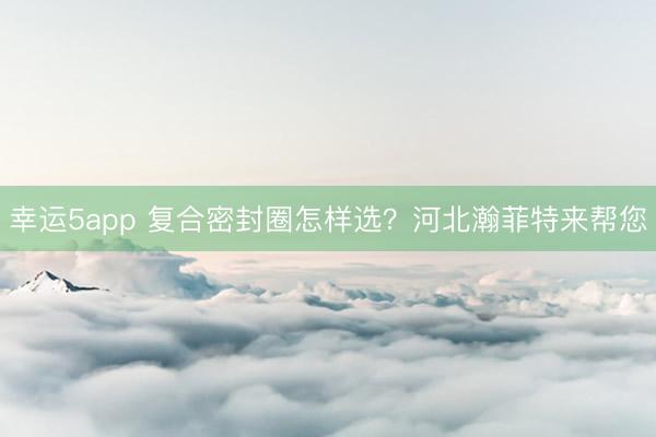 幸运5app 复合密封圈怎样选？河北瀚菲特来帮您