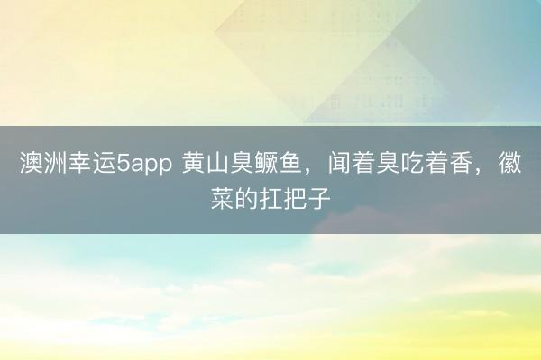 澳洲幸运5app 黄山臭鳜鱼,闻着臭吃着香,徽菜的扛把子