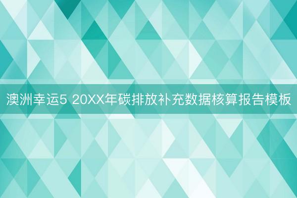 澳洲幸运5 20XX年碳排放补充数据核算报告模板