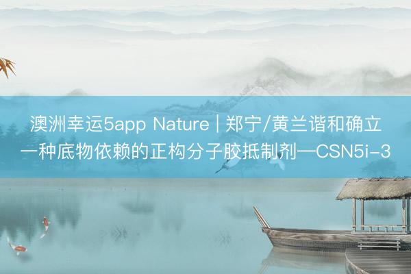 澳洲幸运5app Nature | 郑宁/黄兰谐和确立一种底物依赖的正构分子胶抵制剂—CSN5i-3