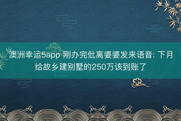 澳洲幸运5app 刚办完仳离婆婆发来语音: 下月给故乡建别墅的250万该到账了