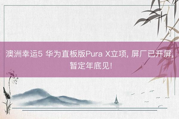 澳洲幸运5 华为直板版Pura X立项， 屏厂已开屏， 暂定年底见!