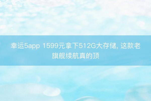 幸运5app 1599元拿下512G大存储， 这款老旗舰续航真的顶