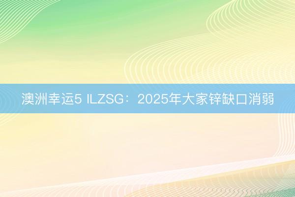 澳洲幸运5 ILZSG:2025年大家锌缺口消弱