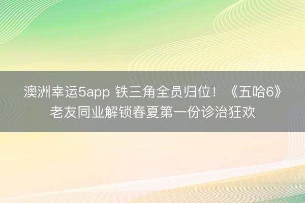 澳洲幸运5app 铁三角全员归位!《五哈6》老友同业解锁春夏第一份诊治狂欢