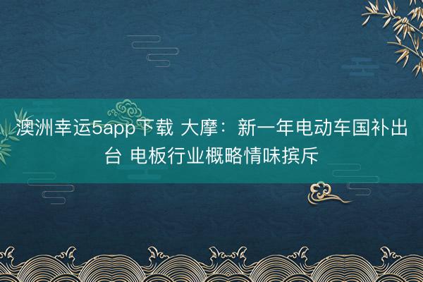 澳洲幸运5app下载 大摩:新一年电动车国补出台 电板行业概略情味摈斥
