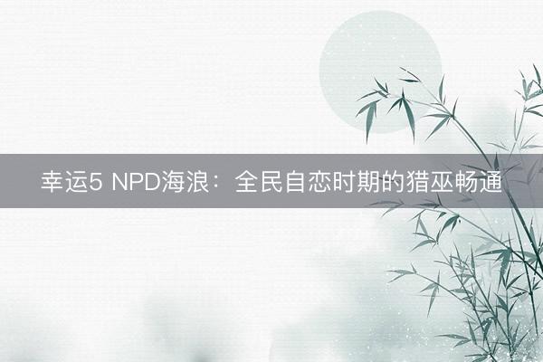 幸运5 NPD海浪：全民自恋时期的猎巫畅通