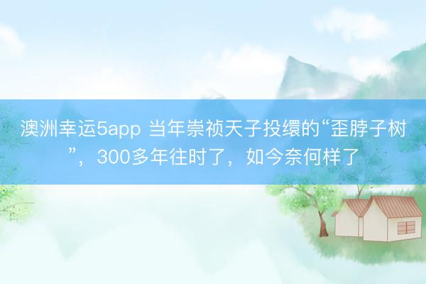 澳洲幸运5app 当年崇祯天子投缳的“歪脖子树”,300多年往时了,如今奈何样了