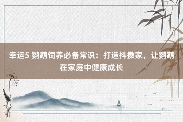 幸运5 鹦鹉饲养必备常识:打造抖擞家,让鹦鹉在家庭中健康成长