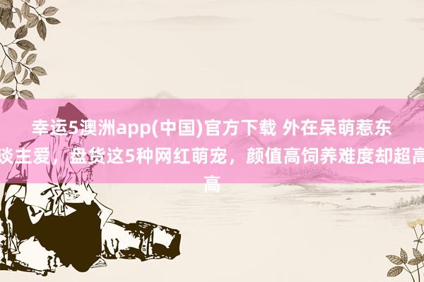 幸运5澳洲app(中国)官方下载 外在呆萌惹东谈主爱,盘货这5种网红萌宠,颜值高饲养难度却超高
