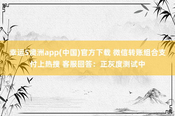 幸运5澳洲app(中国)官方下载 微信转账组合支付上热搜 客服回答:正灰度测试中