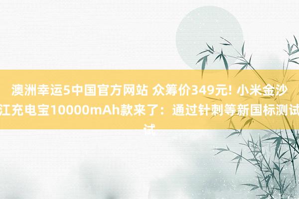 澳洲幸运5中国官方网站 众筹价349元! 小米金沙江充电宝10000mAh款来了:通过针刺等新国标测试