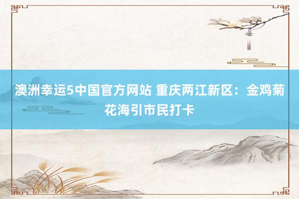 澳洲幸运5中国官方网站 重庆两江新区:金鸡菊花海引市民打卡