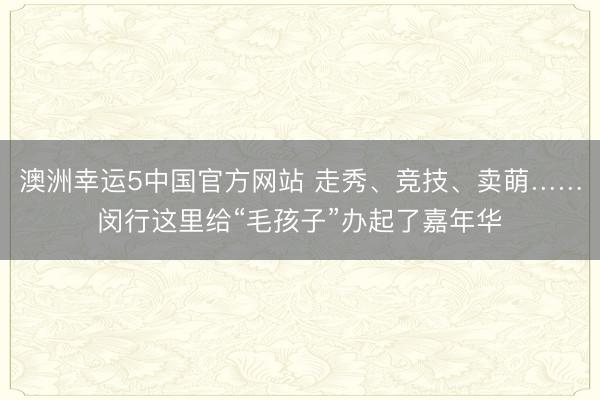澳洲幸运5中国官方网站 走秀、竞技、卖萌……闵行这里给“毛孩子”办起了嘉年华