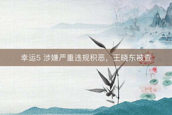 幸运5 涉嫌严重违规积恶，王晓东被查