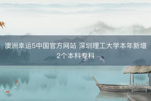 澳洲幸运5中国官方网站 深圳理工大学本年新增2个本科专科
