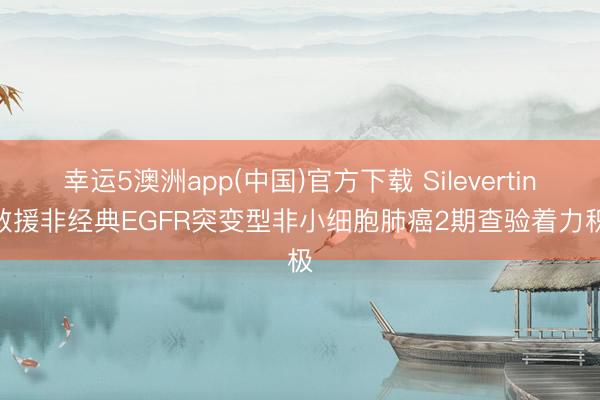 幸运5澳洲app(中国)官方下载 Silevertinib救援非经典EGFR突变型非小细胞肺癌2期查验着力积极