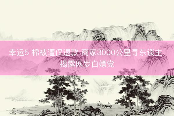 幸运5 棉被遭仅退款 商家3000公里寻东谈主 揭露网罗白嫖党